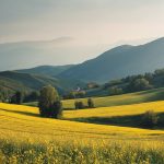 Draperii din poliester